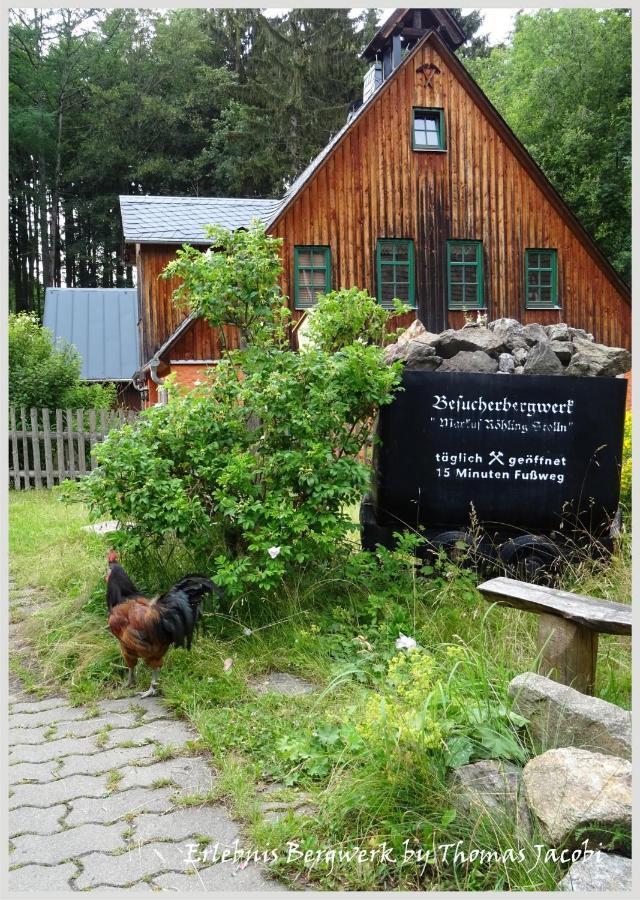 Pension Kleine Auszeit Annaberg-Buchholz Extérieur photo